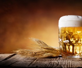 Beer and wheat Stock Photo