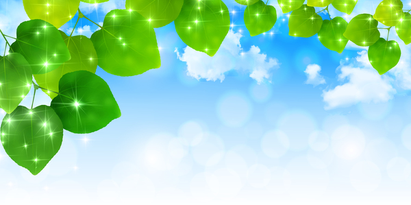 Blue sky background with green leaves vector