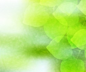 Blurs green leaves vector background
