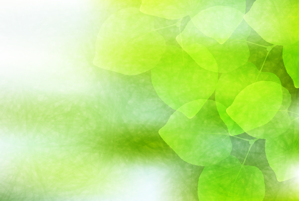 Blurs green leaves vector background