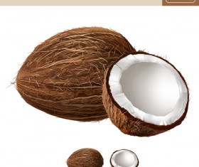 Coconut realistic vectors