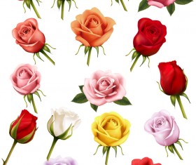 Colorful rose illustration vector material