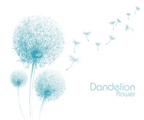 Dandelion flower illustration vector