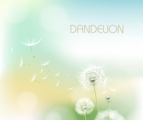 Dandelion flower with blurs background vector