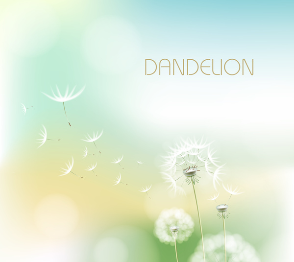Dandelion flower with blurs background vector