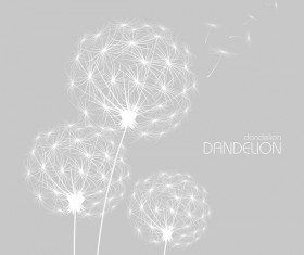 Dandelion with gray background vector 02