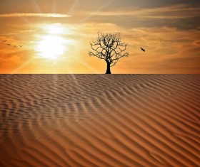 Desert of the evening HD picture