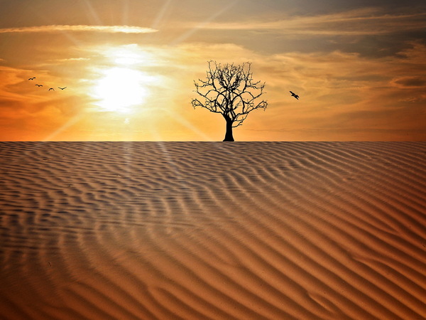 Desert of the evening HD picture
