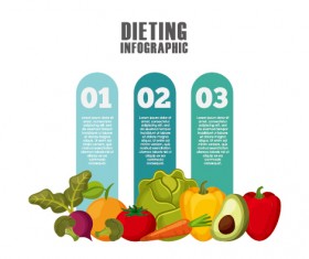 Dieting infographic template vectors 01
