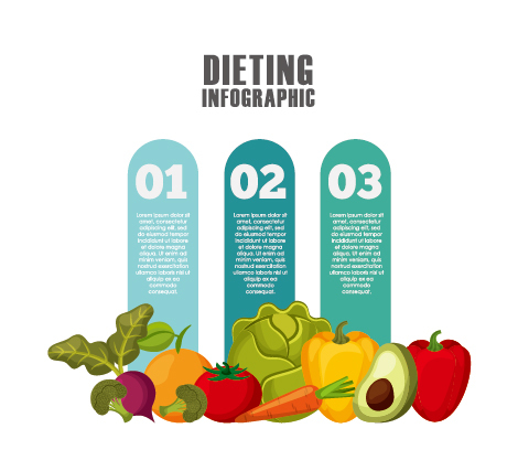 Dieting infographic template vectors 01