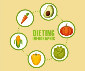 Dieting infographic template vectors 04