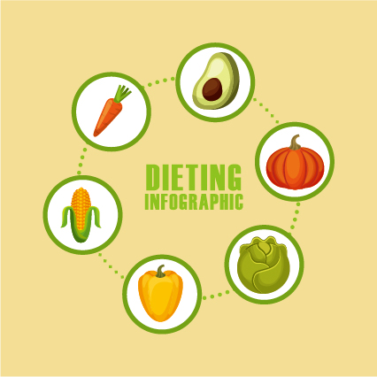 Dieting infographic template vectors 04