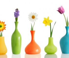 Different colors of flowers HD picture