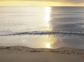 Dusk on the beach Stock Photo 01