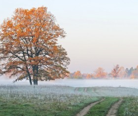 Early autumn scenery Stock Photo