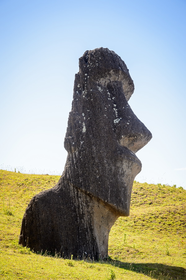 Easter Island Boulder Stock Photo