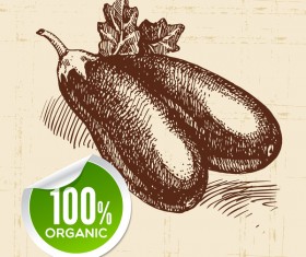Eggplant hand drawn sketch vector