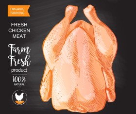 Farn fresh chicken meat poster vector 01