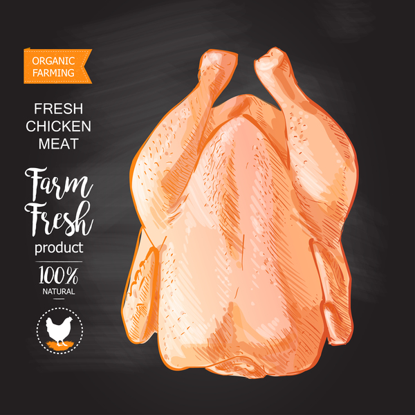 Farn fresh chicken meat poster vector 01