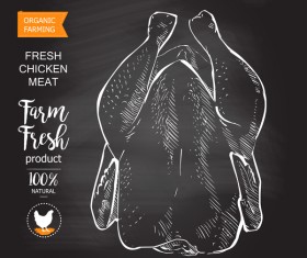 Farn fresh chicken meat poster vector 02