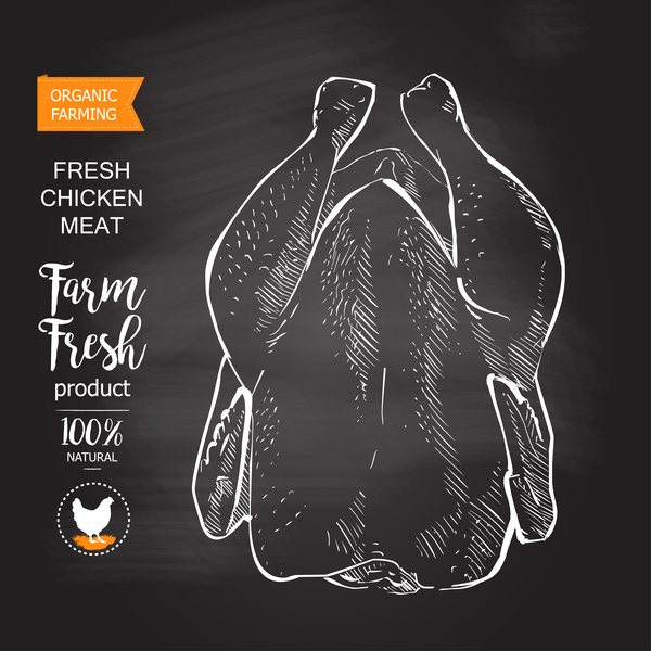 Farn fresh chicken meat poster vector 02