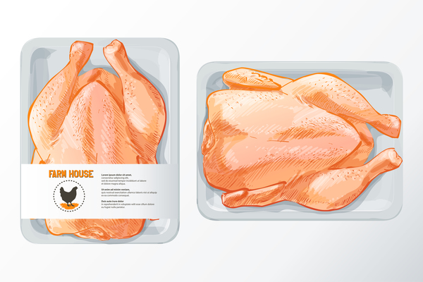 Farn fresh chicken meat poster vector 03