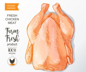 Farn fresh chicken meat poster vector 04