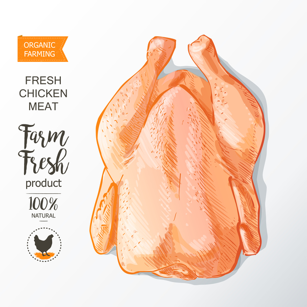 Farn fresh chicken meat poster vector 04