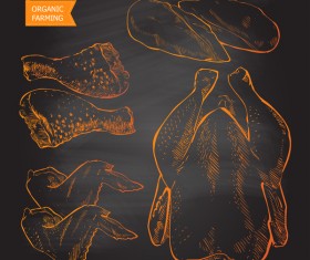 Farn fresh chicken meat poster vector 05