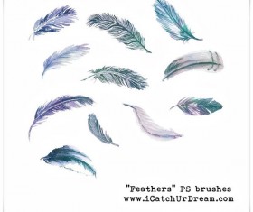 Feathers photoshop brushes set