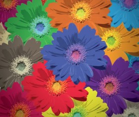 Flower bloom colors background greeting card vector