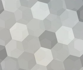 Gray hexagon backgrounds vector