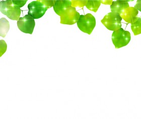 Green Leaves and blank background vector 01