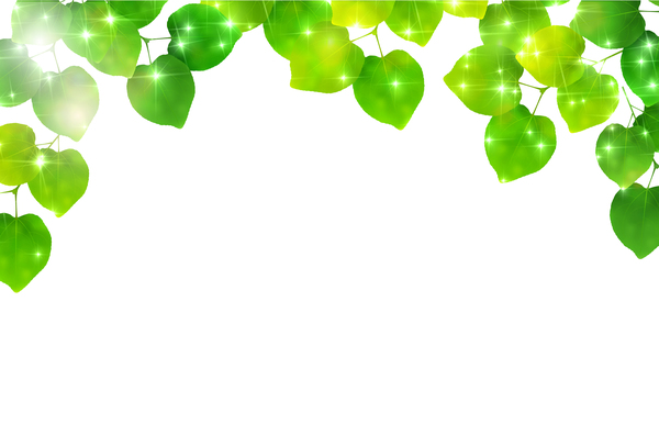Green Leaves and blank background vector 01