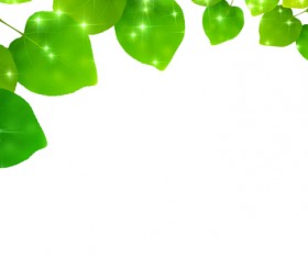 Green Leaves and blank background vector 02