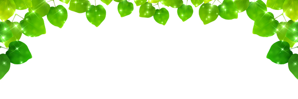 Green Leaves and blank background vector 03