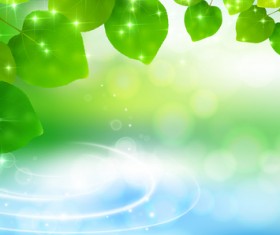 Green Leaves and water background vectors 02