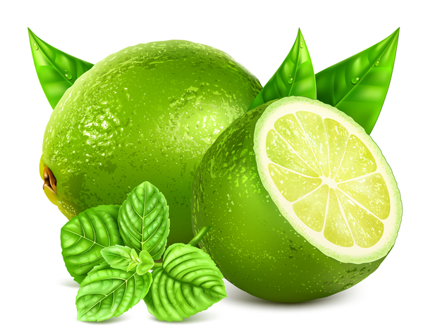 Green citrus with leaves vector 02
