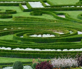 Green landscape Stock Photo