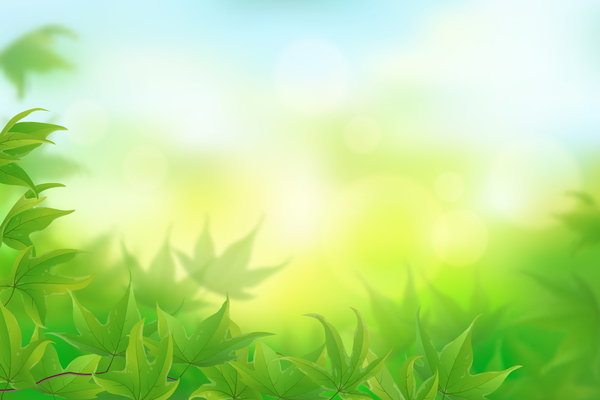 Free Vector  Tropical green leaves background