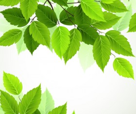 Green leaves with spring backgrounds art vector 02