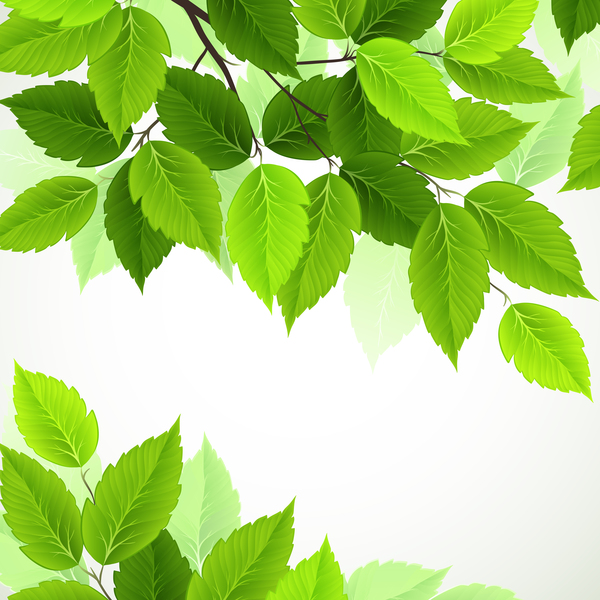 Green leaves with spring backgrounds art vector 02