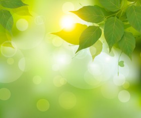 Green leaves with spring backgrounds art vector 04