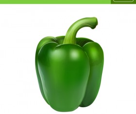 Green papper realistic vectors