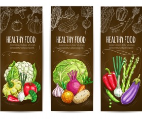 Healthy vagetables vertical banners vector