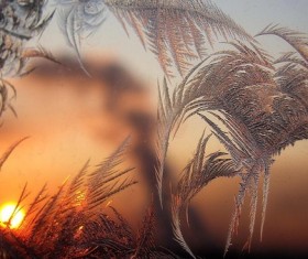 Ice and winter dusk Stock Photo