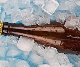 Ice cubes and beer Stock Photo 02