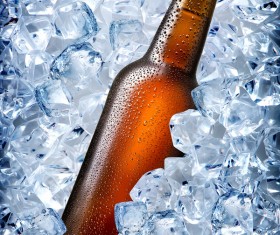 Ice cubes and beer Stock Photo 05