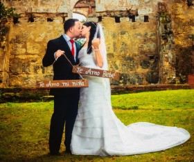 Kissing wedding photos Stock Photo