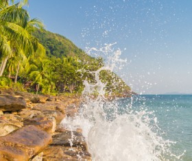 Landscape with Palm trees Stock Photo